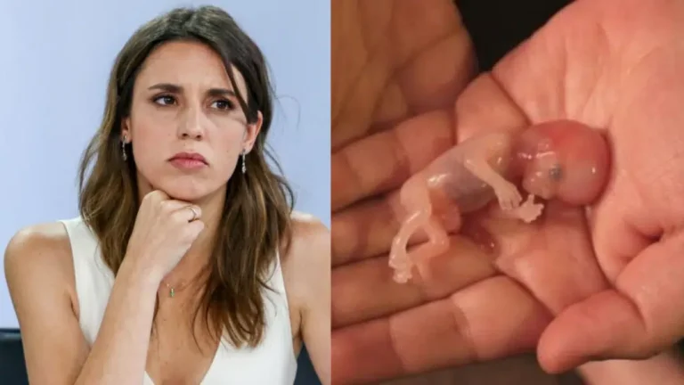 El Observatorio de Bioética de la UCV se pronuncia sobre la nueva ley del aborto que prepara el Gobierno